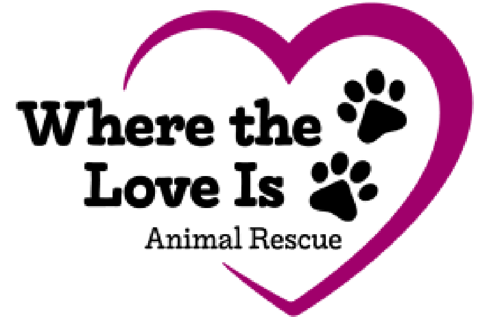 Animal Rescue Logo